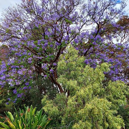 Capon Cottage Broken Hill Exterior foto