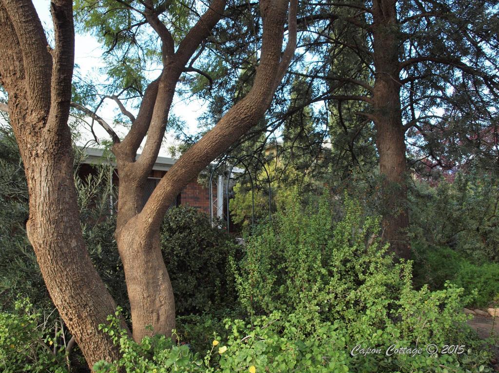 Capon Cottage Broken Hill Zimmer foto